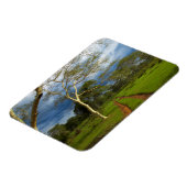 Magnet Flexible Fièvre (Acacia Xanthophloea) Par Piste (Côté Gauche)