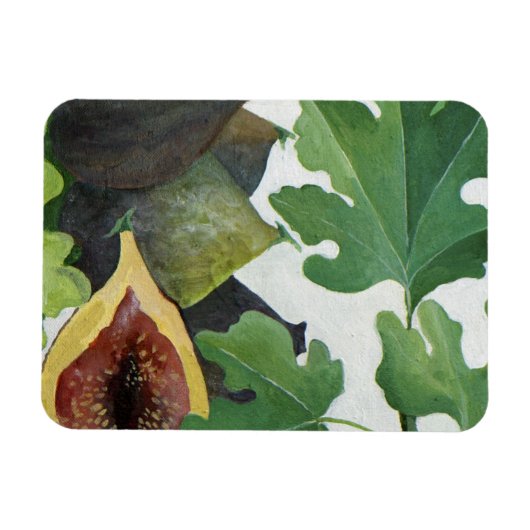 Magnet Flexible Figes 2013 (Horizontal)