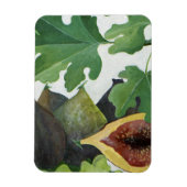 Magnet Flexible Figes 2013 (Vertical)