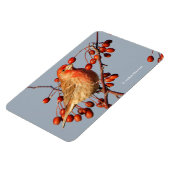 Magnet Flexible Finch maison avec Berries Hawthorn (Côté Gauche)