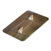 Magnet Flexible Finches de la maison (Côté Gauche)