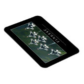 Magnet Flexible Finesse : Devis inspirant (Côté Droit)