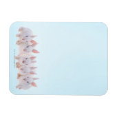 Magnet Flexible Five Rabbits (Horizontal)