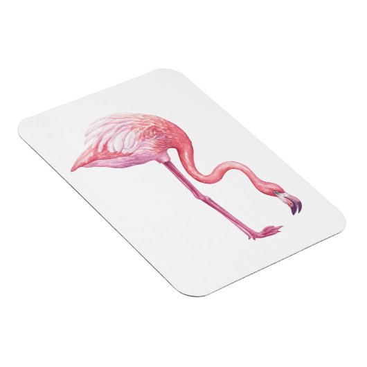 Magnet Flexible Flamant rose (Côté Droit)