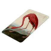 Magnet Flexible Flamant rose américain (Côté Gauche)