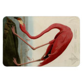 Magnet Flexible Flamant rose américain (Horizontal)