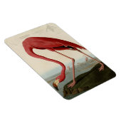 Magnet Flexible Flamant rose américain (Côté Droit)