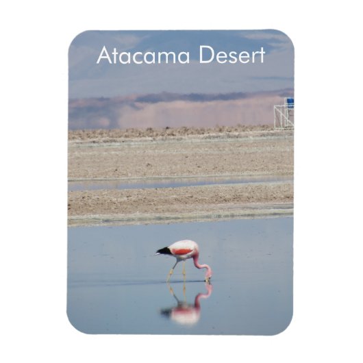 Magnet Flexible Flamant rose Atacama Désert Aimant Flexible (Vertical)