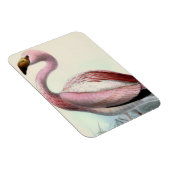 Magnet Flexible Flamant Vintage (Côté Droit)