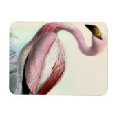 Magnet Flexible Flamant Vintage (Horizontal)