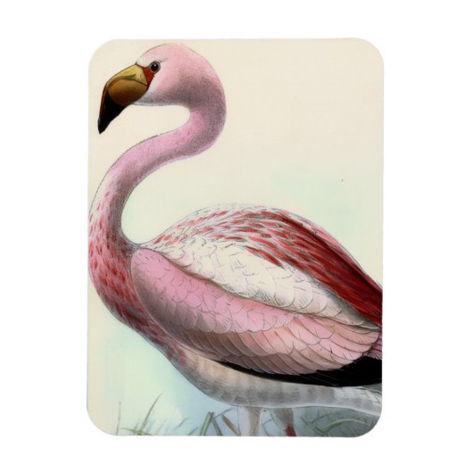 Magnet Flexible Flamant Vintage (Vertical)