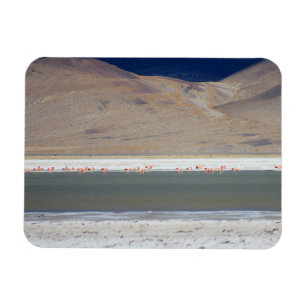 Magnet Flexible Flamants roses à Salar del Huasco, Chili
