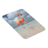 Magnet Flexible Flamants roses Beach Aruba (Côté Droit)
