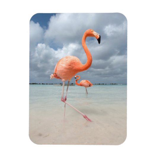 Magnet Flexible Flamants roses Beach Aruba (Vertical)