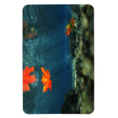 Magnet Flexible Flamme dans l'aimant flexible de l'eau (Vertical)