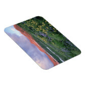 Magnet Flexible Fleabane pourpre (erigeron peregrinus) et Jaune (Côté Droit)