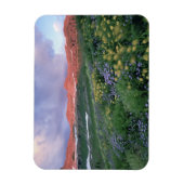 Magnet Flexible Fleabane pourpre (erigeron peregrinus) et Jaune (Vertical)