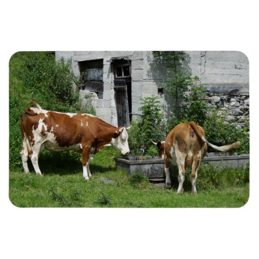 Magnet Flexible Fleckvieh soif (Horizontal)