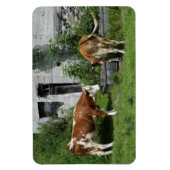 Magnet Flexible Fleckvieh soif (Vertical)