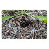 Magnet Flexible Fleur Abstraite de Pinecone (Horizontal)