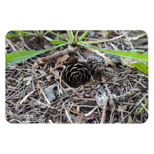 Magnet Flexible Fleur Abstraite de Pinecone (Horizontal)