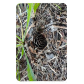 Magnet Flexible Fleur Abstraite de Pinecone (Vertical)