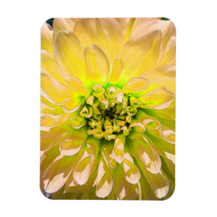 Magnet Flexible Fleur Dahlia Jaune