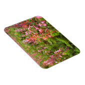 Magnet Flexible Fleur de Bugle Lily (Watsonia), Cap-Oriental (Côté Droit)