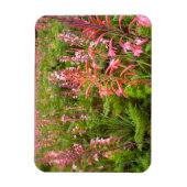 Magnet Flexible Fleur de Bugle Lily (Watsonia), Cap-Oriental (Vertical)