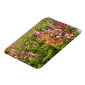 Magnet Flexible Fleur de Bugle Lily (Watsonia), Cap-Oriental (Côté Gauche)