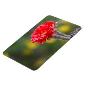 Magnet Flexible Fleur de cactus de la lumière du feu (Côté Gauche)