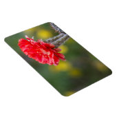Magnet Flexible Fleur de cactus de la lumière du feu (Côté Droit)