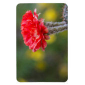 Magnet Flexible Fleur de cactus de la lumière du feu (Vertical)