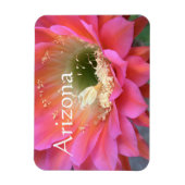 Magnet Flexible Fleur de cactus rose dans le désert (Vertical)