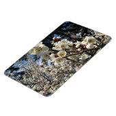 Magnet Flexible Fleur de cerisier blanc / Sakura / ク(桜) (Côté Gauche)
