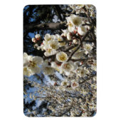 Magnet Flexible Fleur de cerisier blanc / Sakura / ク(桜) (Vertical)