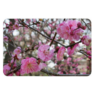 Magnet Flexible Fleur de cerisier rose / Sakura / ク(桜)