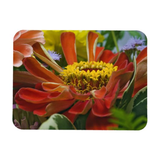 Magnet Flexible fleur de chrysanthème (Horizontal)