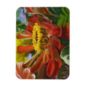 Magnet Flexible fleur de chrysanthème (Vertical)