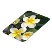 Magnet Flexible fleur de frangipanier Îles Cook (Côté Gauche)