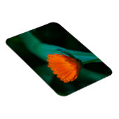 Magnet Flexible Fleur de marguerite orange (Côté Droit)