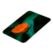 Magnet Flexible Fleur de marguerite orange (Côté Gauche)