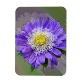Magnet Flexible fleur de violet bleu (Vertical)