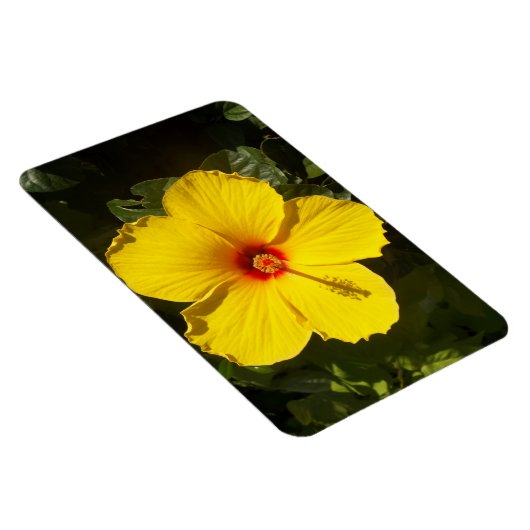 Magnet Flexible Fleur d'Hibiscus jaune (Côté Droit)