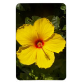 Magnet Flexible Fleur d'Hibiscus jaune (Vertical)