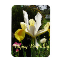 Fleur d'Iris Jaune Floral Irises d'anniversaire