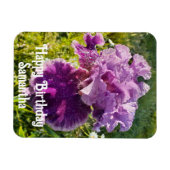 Magnet Flexible Fleur d'Iris violet Jardin fleuri Anniversaire Mag (Horizontal)