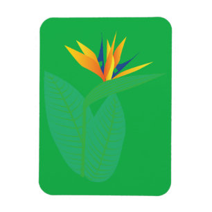 Magnet Flexible Fleur d'oiseau de paradis