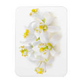 Magnet Flexible Fleur d'oranger (Vertical)