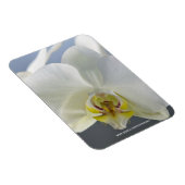 Magnet Flexible Fleur d'orchidée blanche (Côté Droit)
